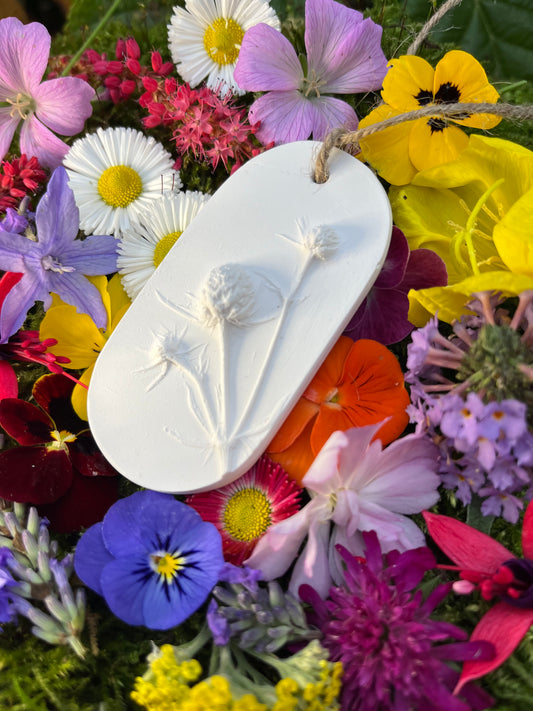 Eryngium Botanical Cast Fragrace Diffuser Small