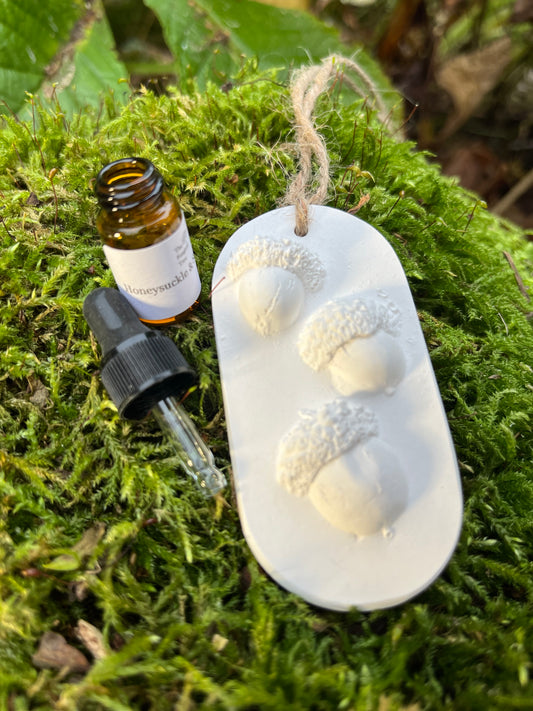 Acorns Botanical Cast Fragrance Diffuser Small