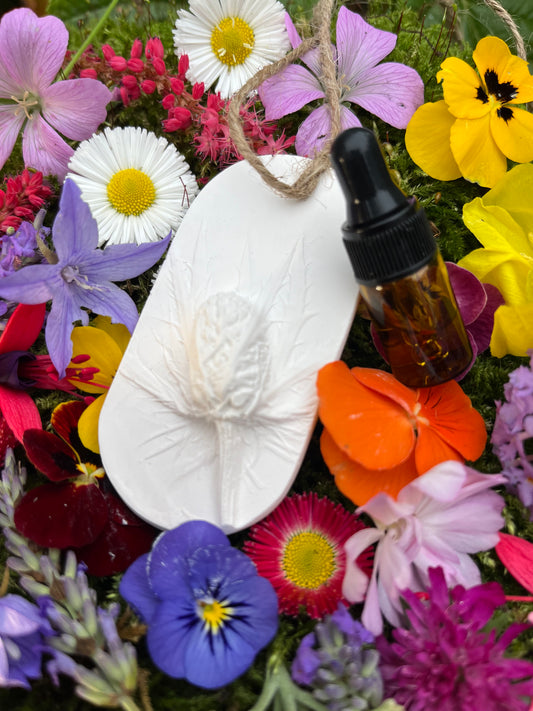 Seaholly Botanical Cast Fragrance Diffuser Small