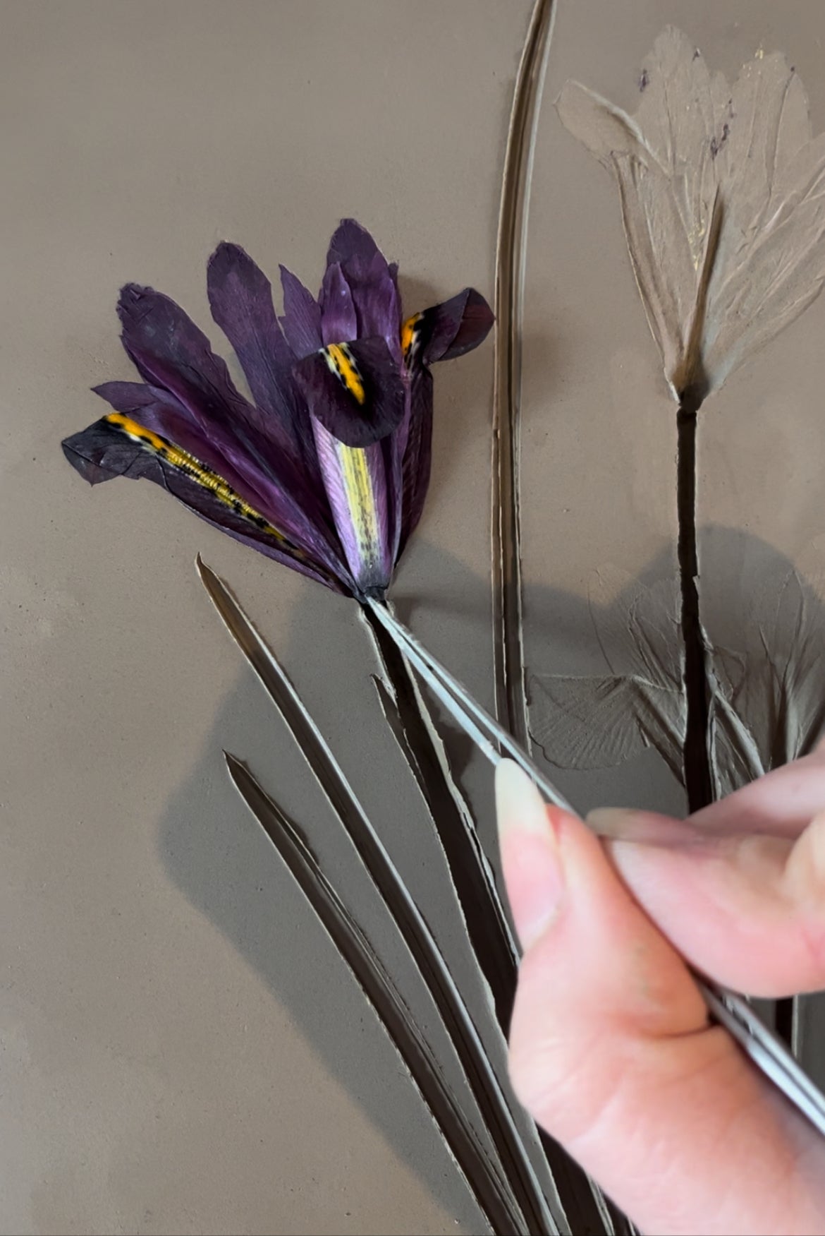 Botanical Casting Workshop 6th June 2026