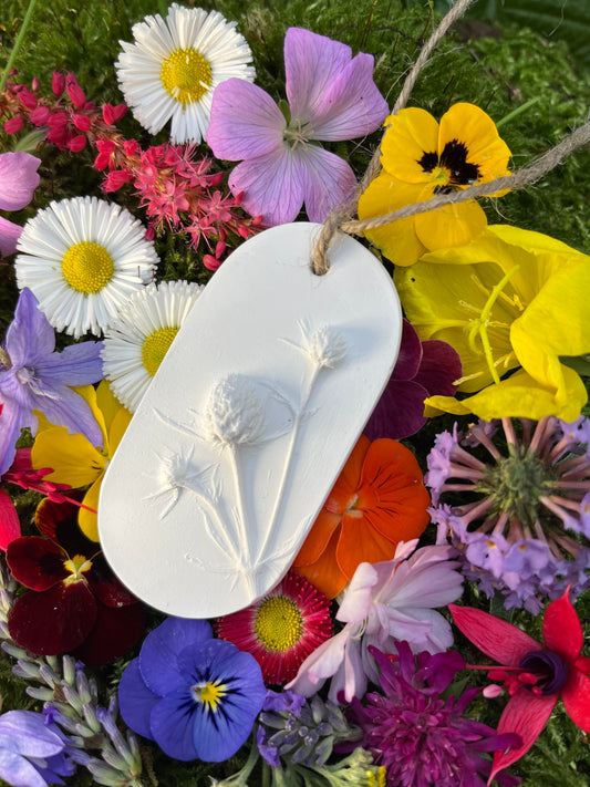 Eryngium Botanical Cast Fragrace Diffuser Small