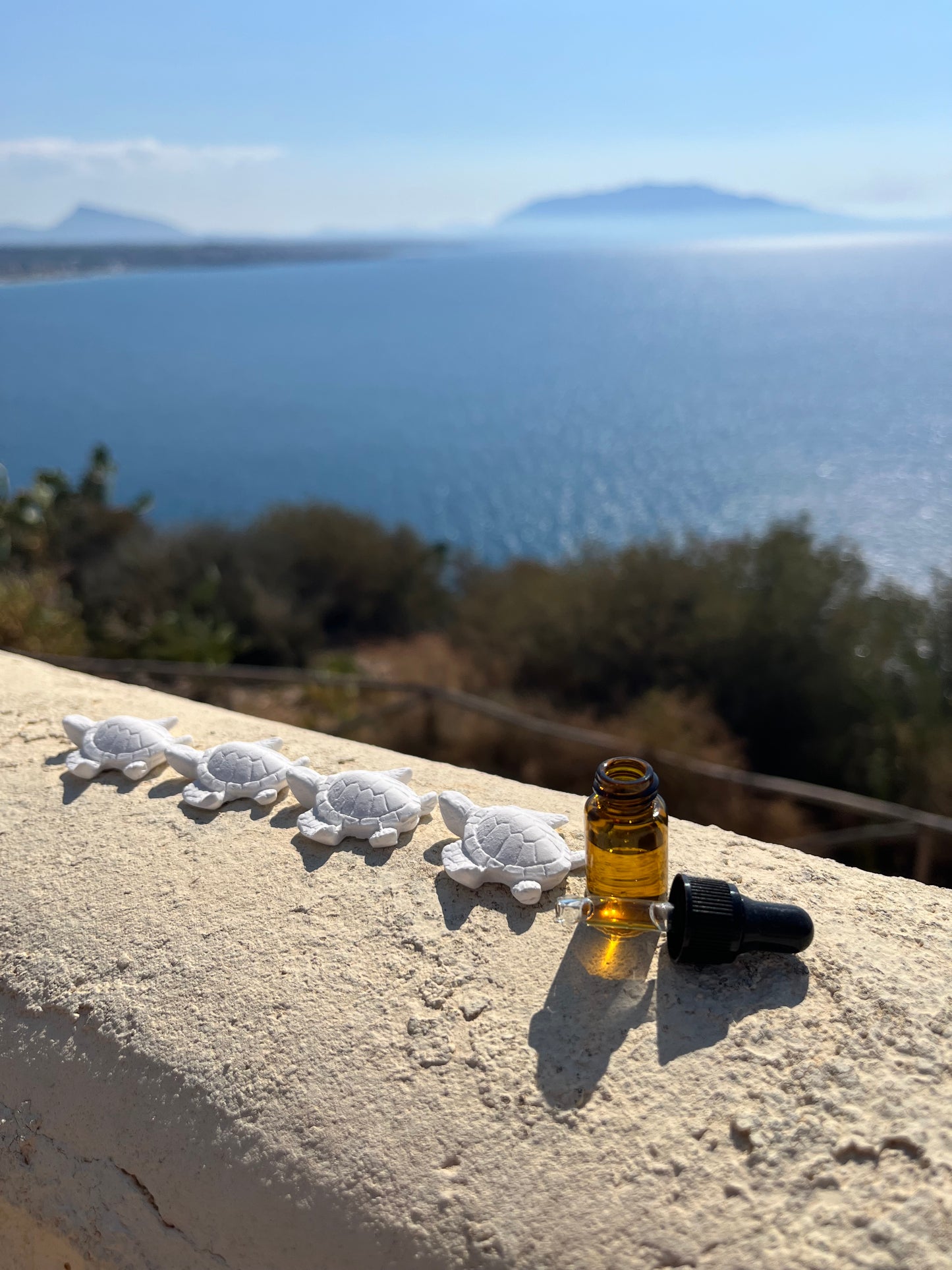 Spider Deterrent Turtles