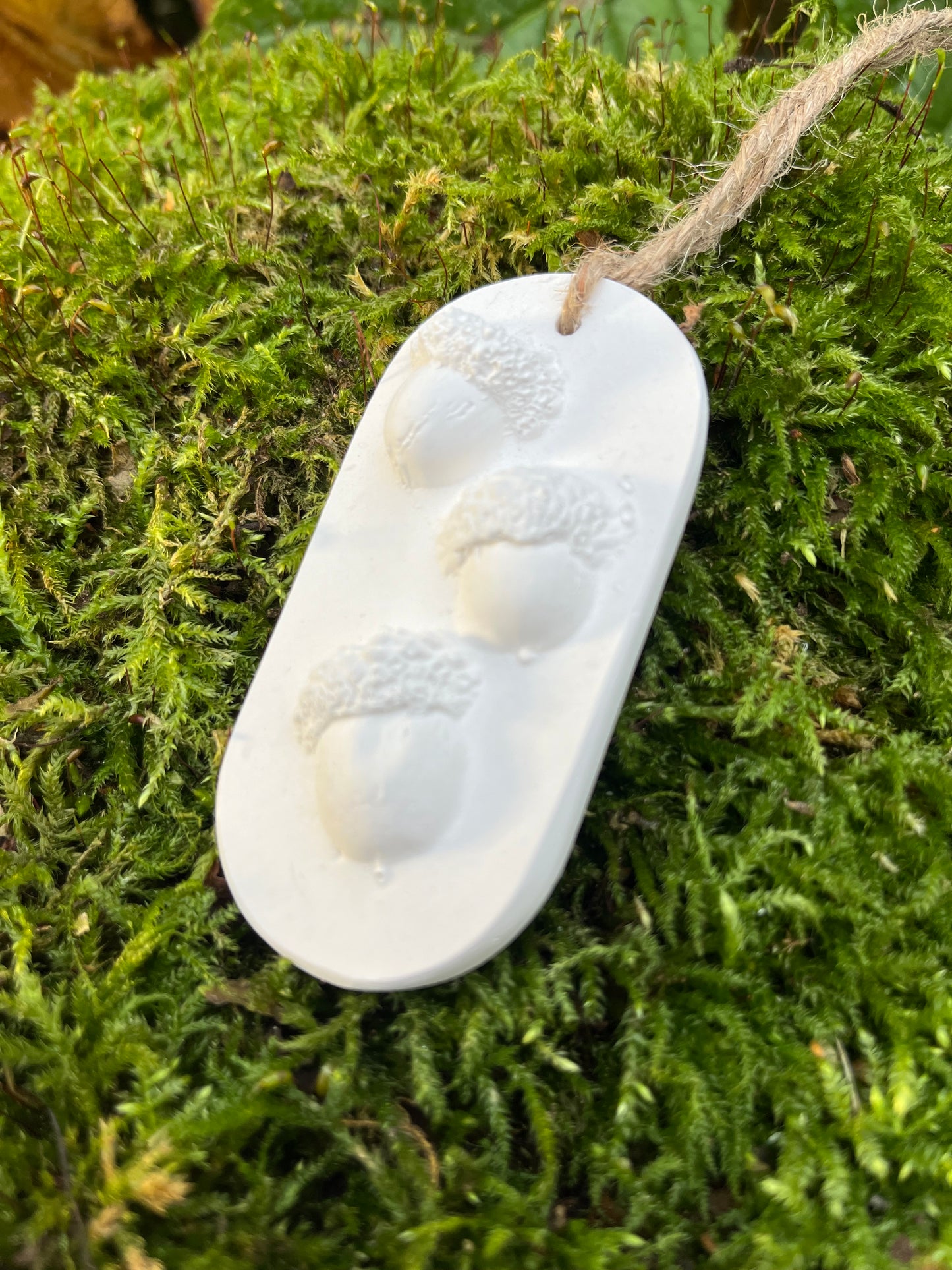 Acorns Botanical Cast Fragrance Diffuser Small