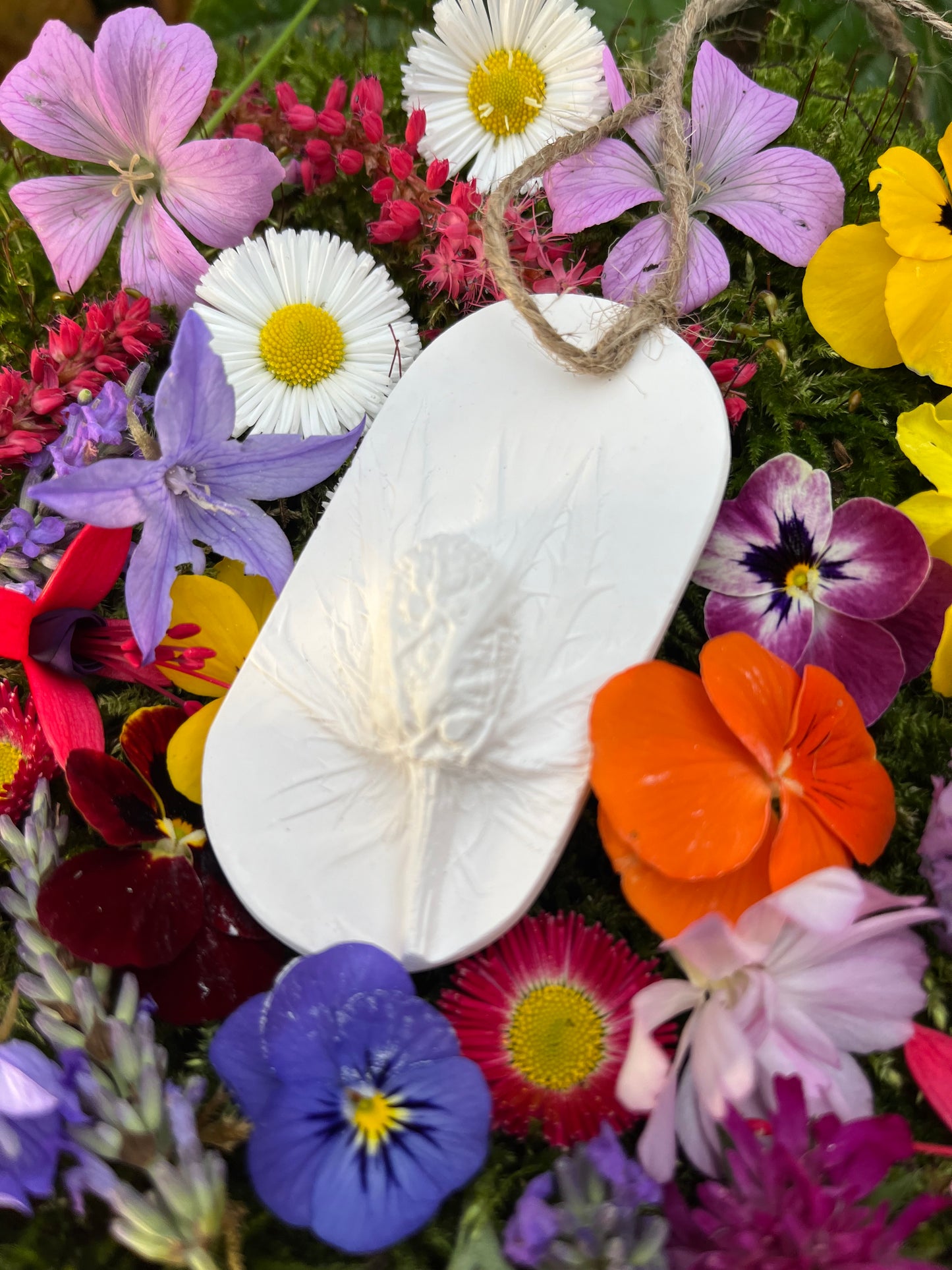 Seaholly Botanical Cast Fragrance Diffuser Small