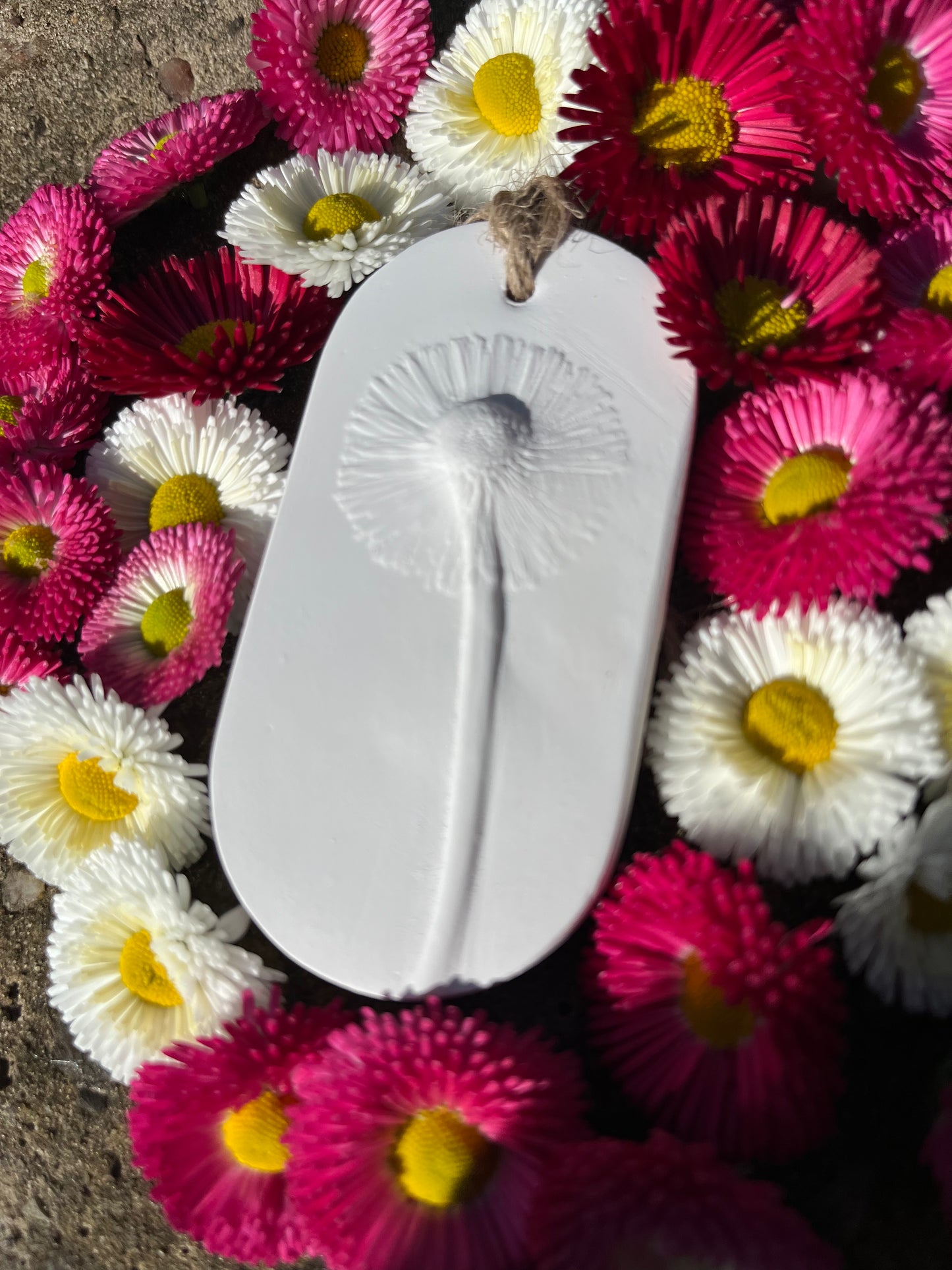 Daisy Bellis Botanical Cast Fragrance Diffuser Small