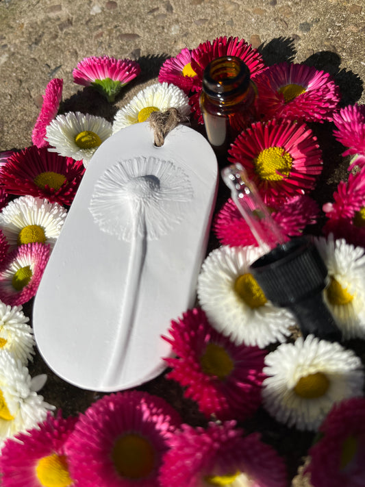 Daisy Bellis Botanical Cast Fragrance Diffuser Small