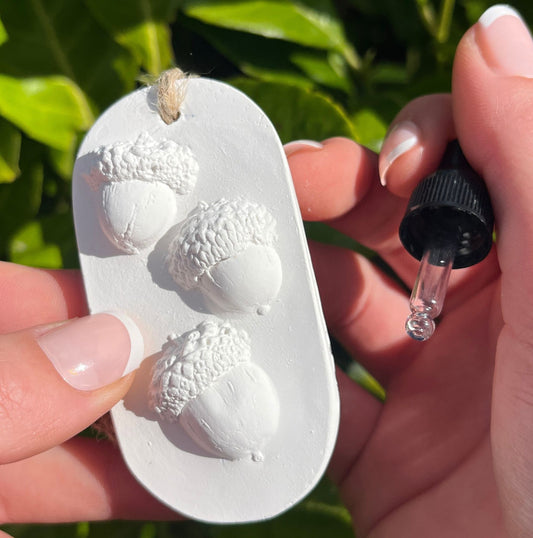 Acorns Botanical Cast Fragrance Diffuser Small