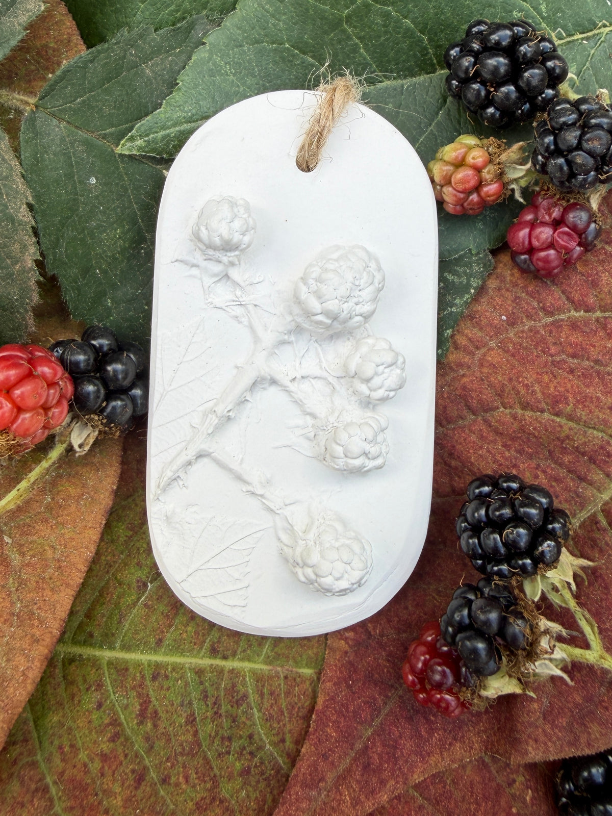 Blackberries Botanical Cast Fragrance Diffuser Small (Copy)