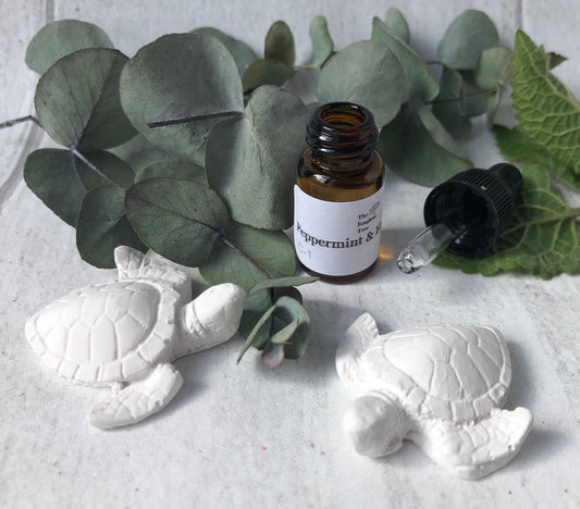 Spider Deterrent Turtles