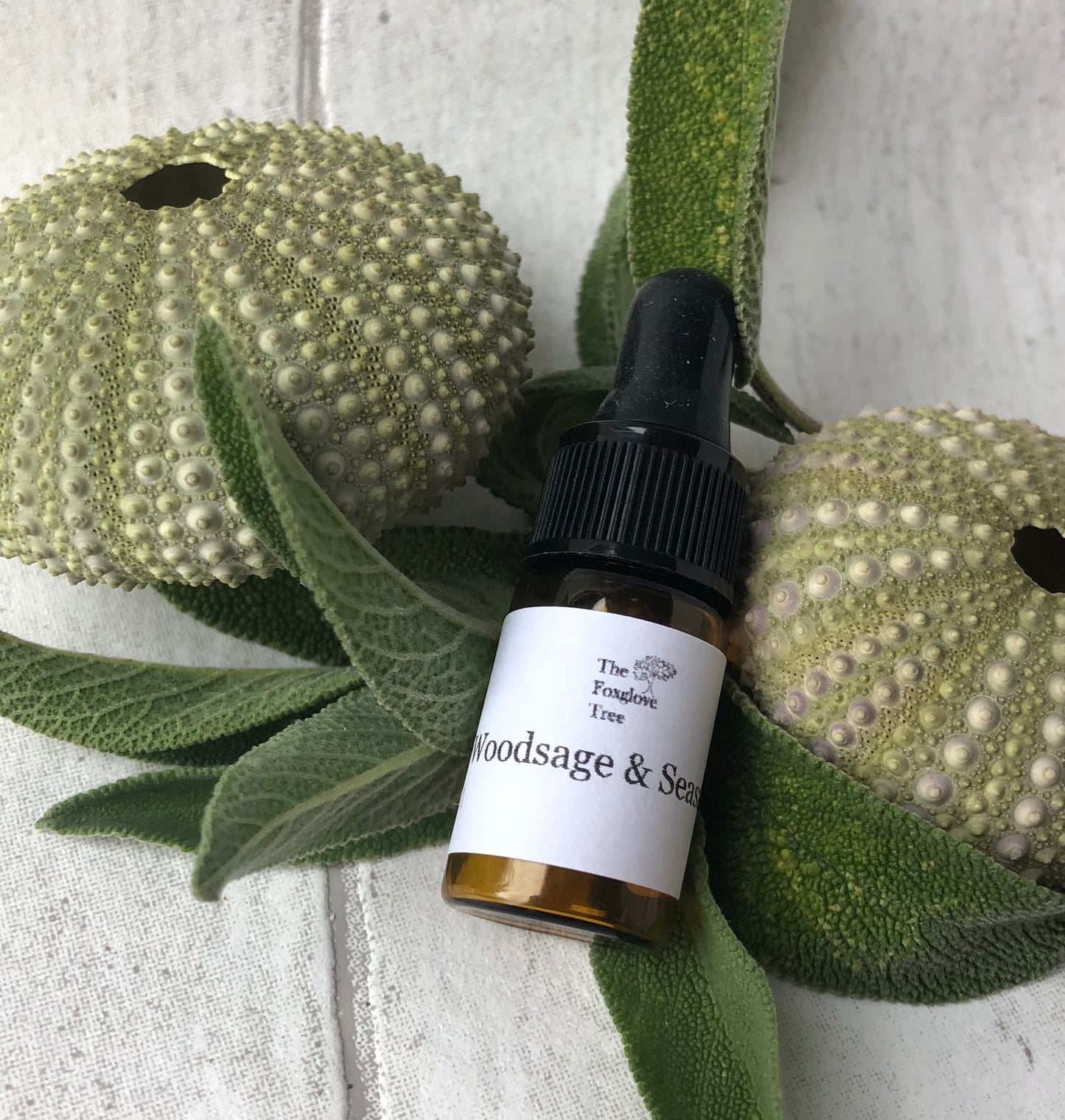 Woodsage and Sea Salt Fragrance Oil