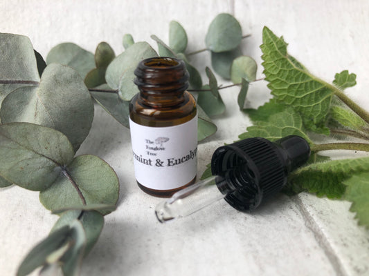 Peppermint and Eucalyptus Fragrance Oil
