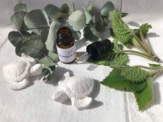 Spider Deterrent Turtles