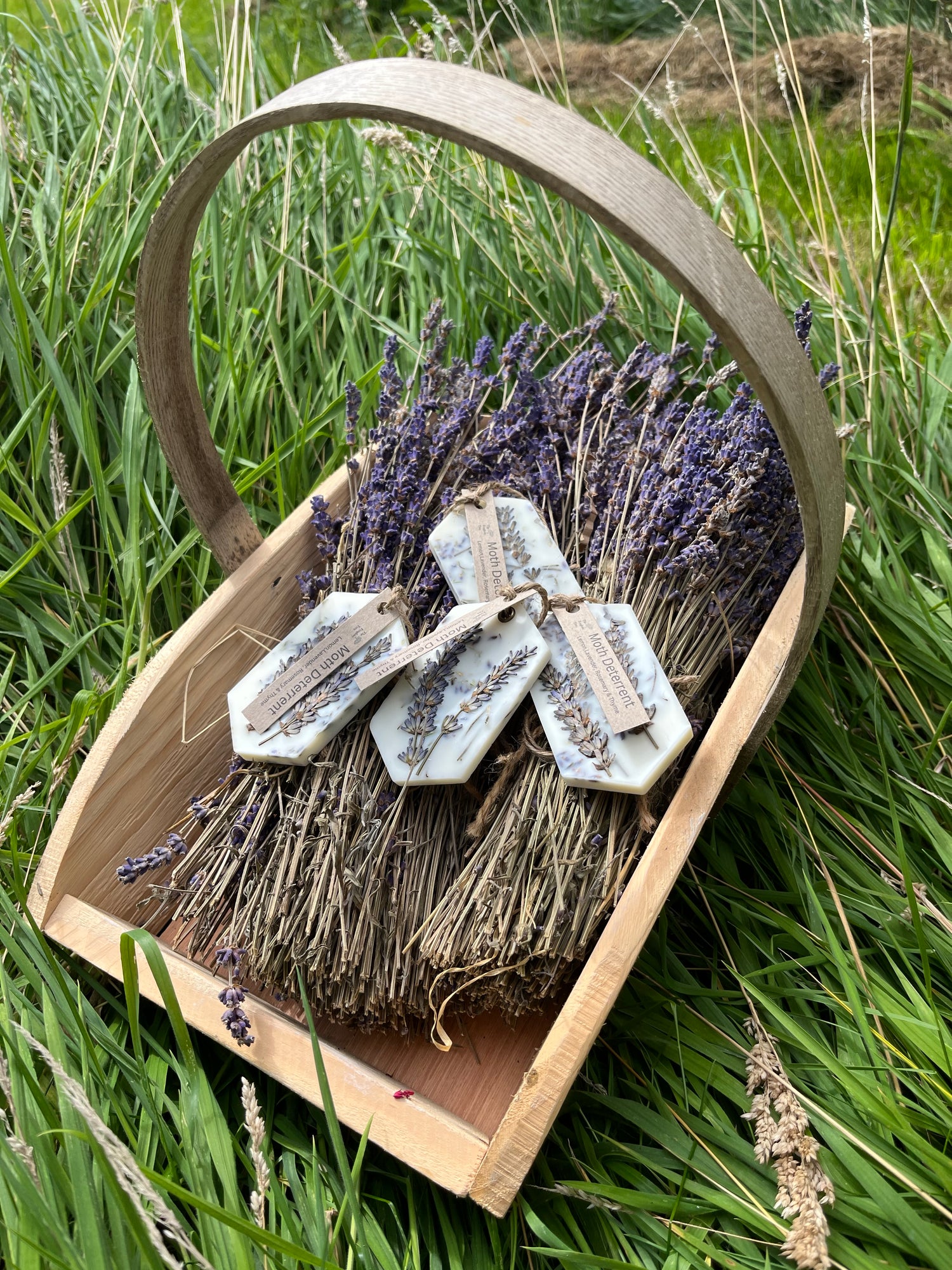 Wax Wardrobe Freshener