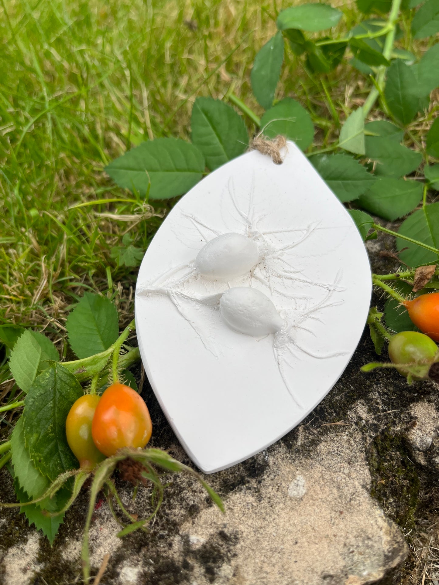 Wild Rose Hips Botanical Cast Fragrance Diffuser Large