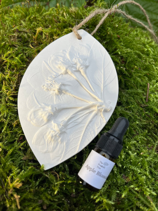 Apple Blossom Botanical Cast Fragrance Diffuser Large