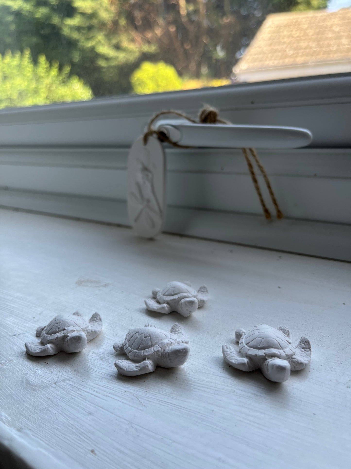 Spider Deterrent Turtles
