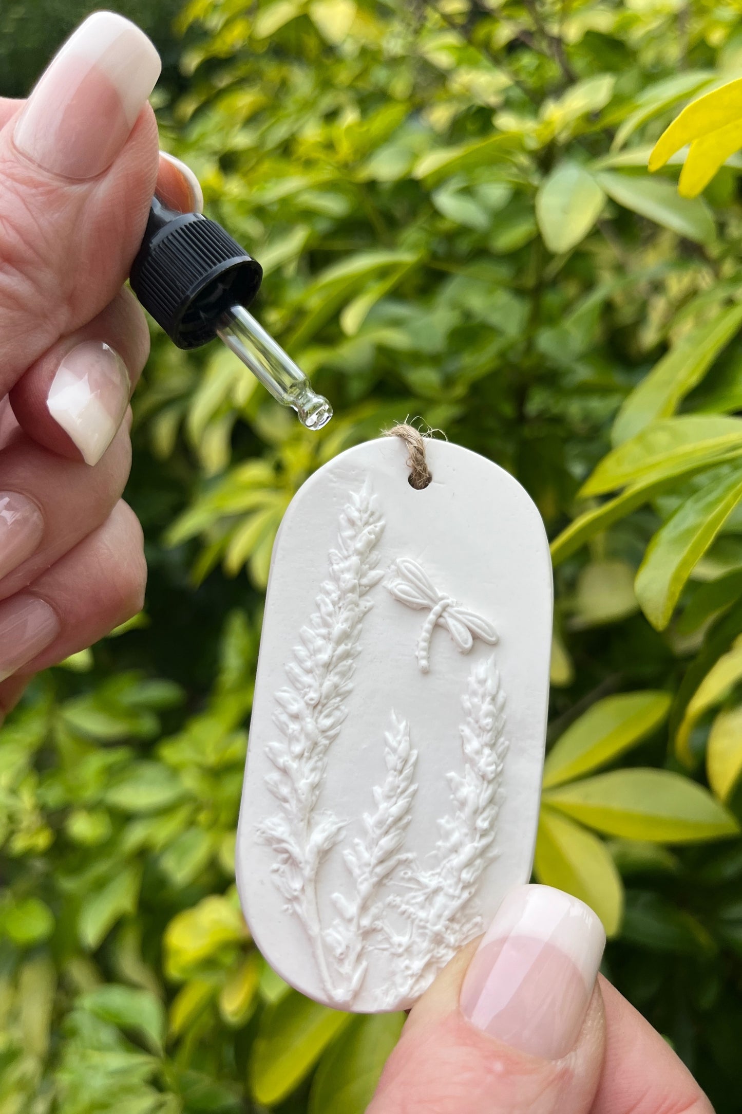 Dragonfly Reeds Botanical Cast Fragrance Diffuser Small