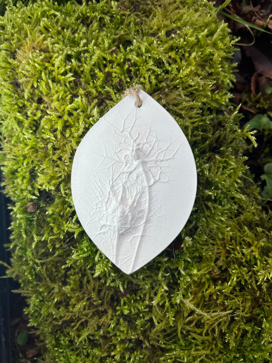 Nigella Seedhead Botanical Cast Fragrance Diffuser