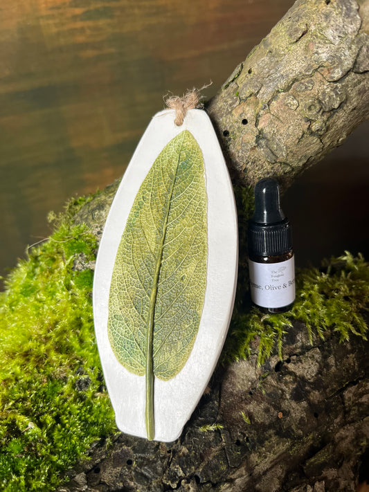 Sage Leaf Botanical Cast Fragrance Diffuser Painted