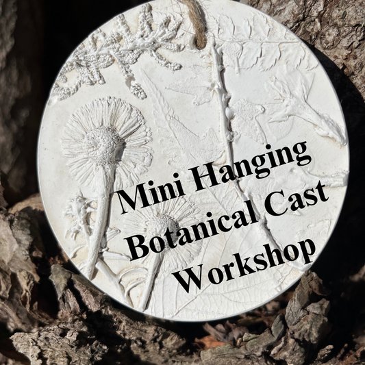 Botanical Casting Workshop 24th November 2024 Square panel or Set of mini hanging casts