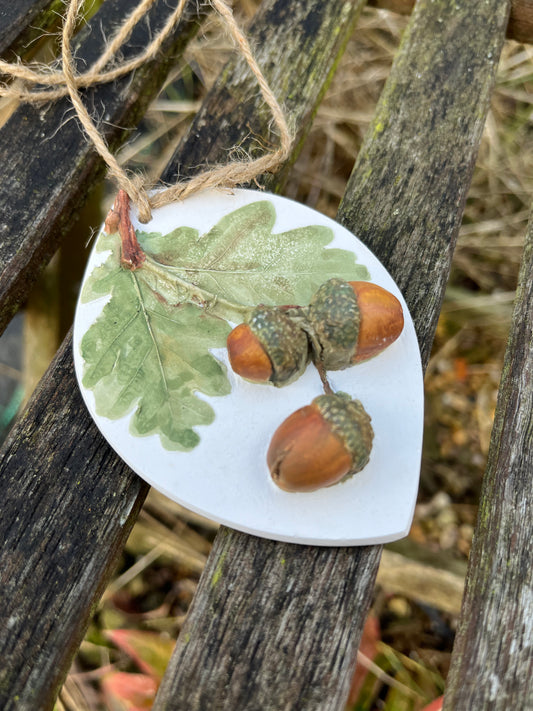 Acorns Botanical Cast Fragrance Diffuser