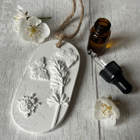 Butterflies and Ladybird Botanical Cast Fragrance Diffuser Small