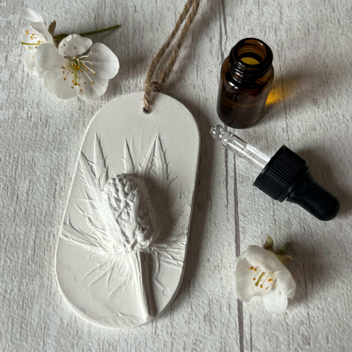 Seaholly Botanical Cast Fragrance Diffuser Small