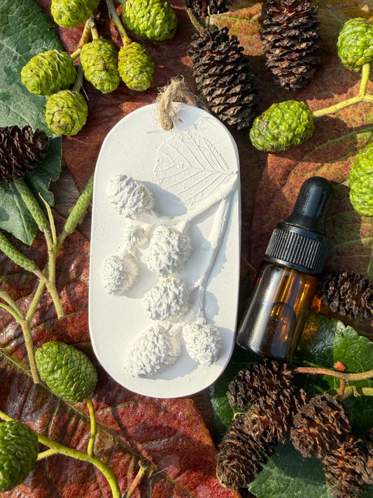 Beech Cones Botanical Cast Fragrance Diffuser Small