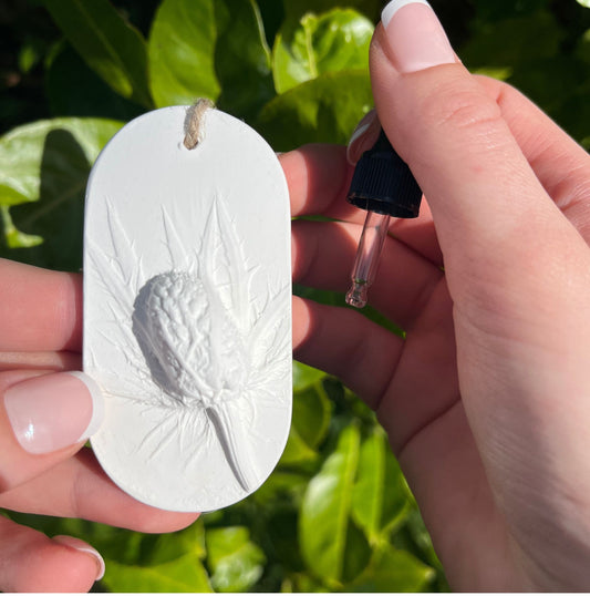 Seaholly Botanical Cast Fragrance Diffuser Small