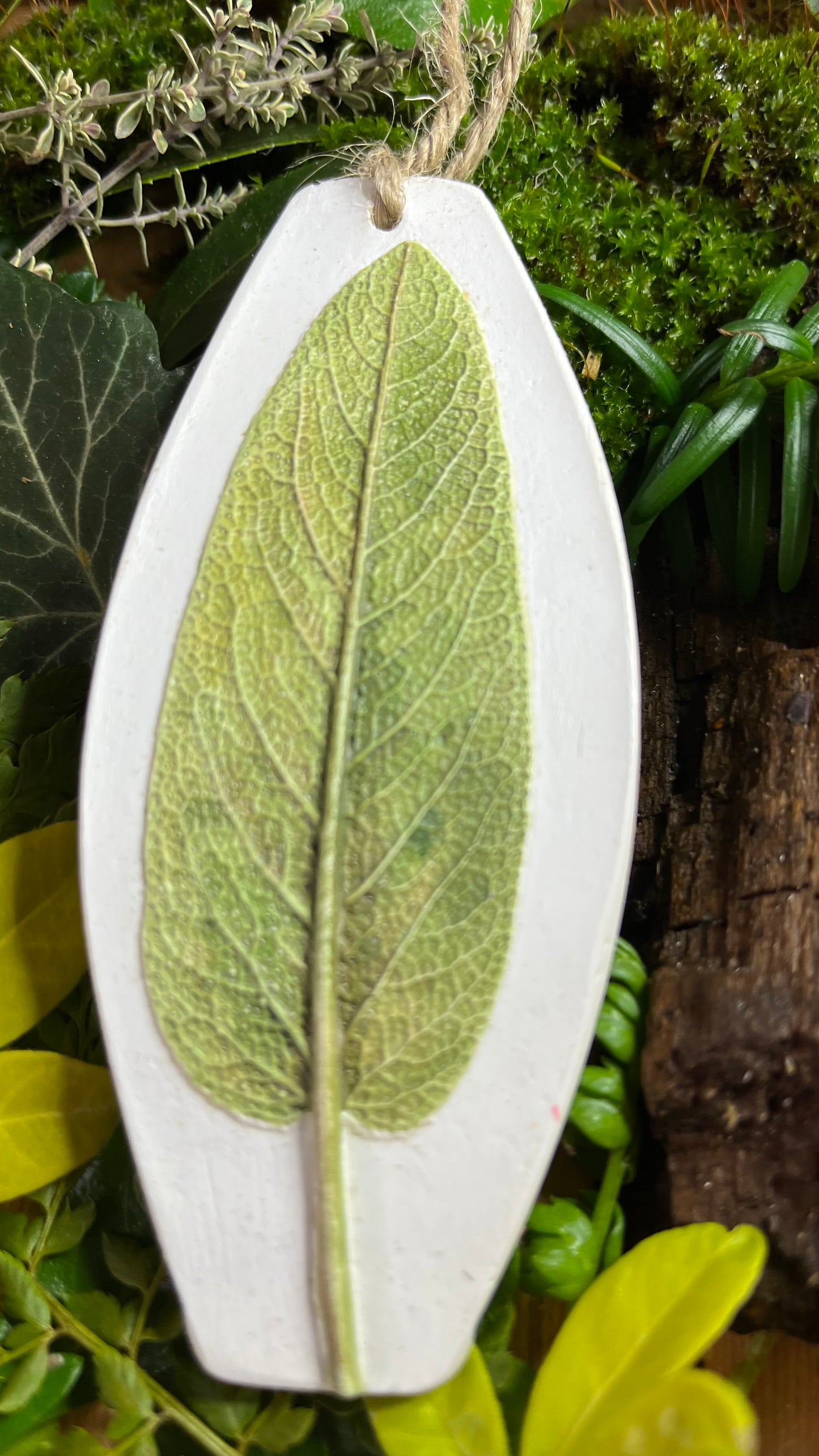 Sage Leaf Botanical Cast Fragrance Diffuser Painted