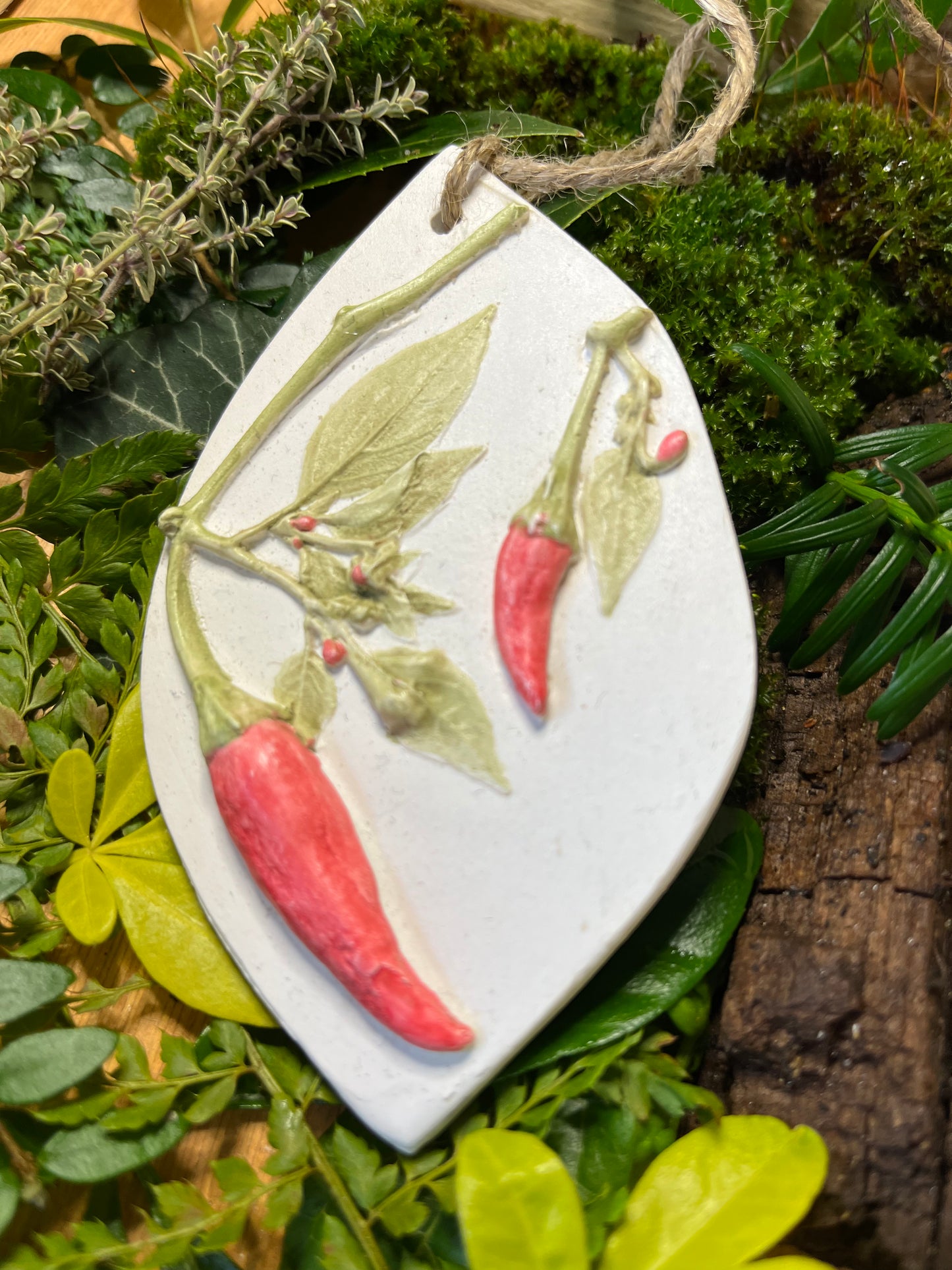 Chilli Botanical Cast Fragrance Diffuser Painted