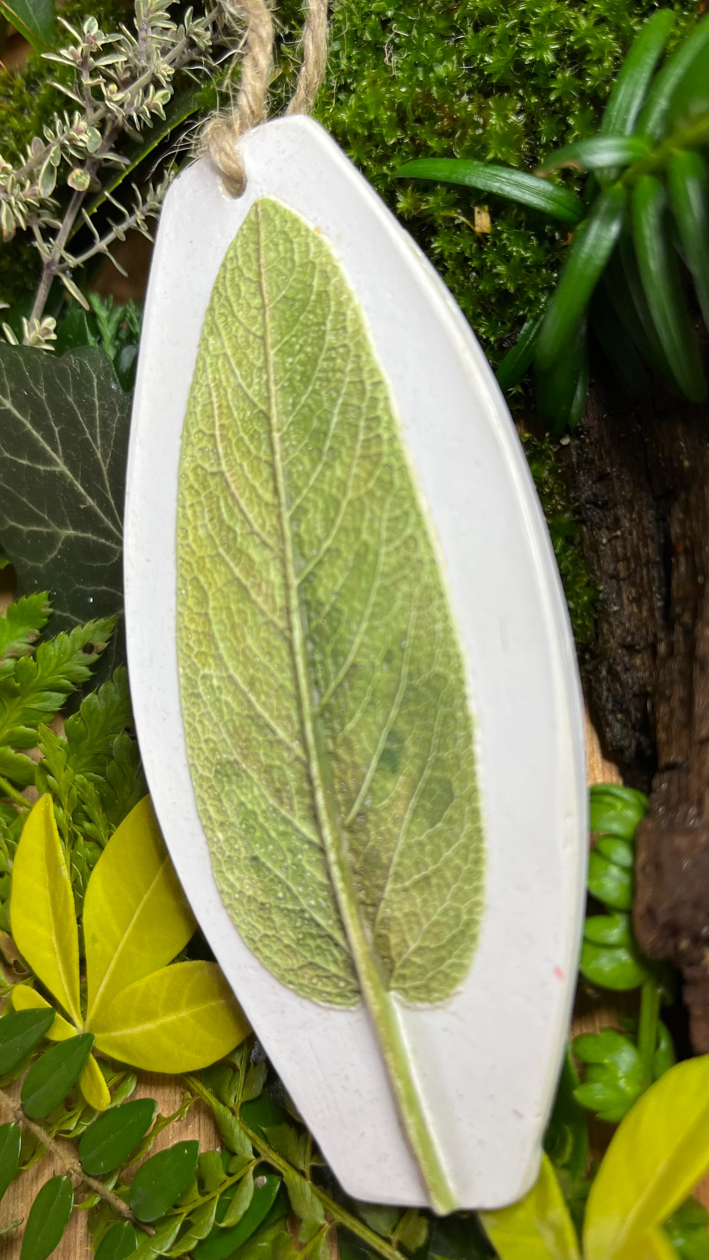 Sage Leaf Botanical Cast Fragrance Diffuser Painted